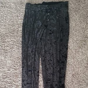 NWT Tall Jodhpur Leggings, Size 6, Black, Crushed Velvet